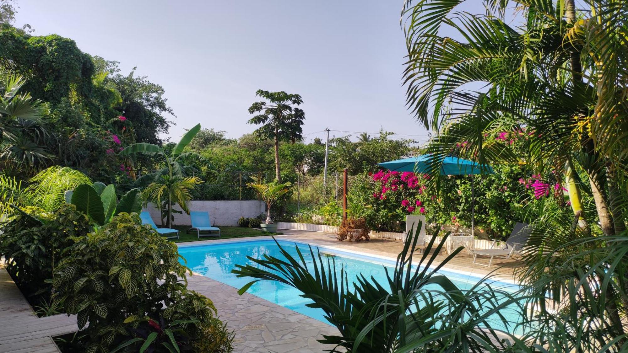 Les Coulirooms - Gite Sainte-Anne  Esterno foto